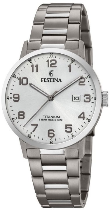 Obrázok z Festina Titanium Date