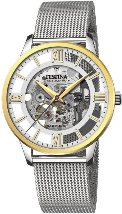 Obrázok z Festina Automatic Skeleton