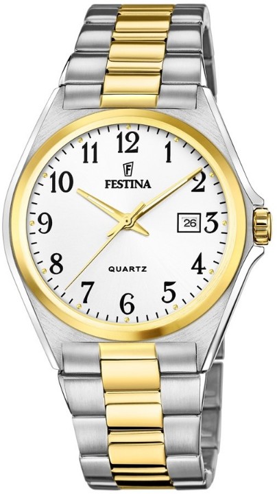 Obrázok z Festina Classics