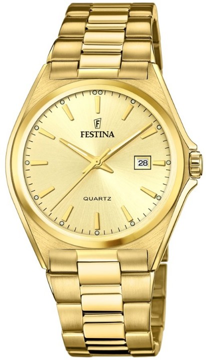 Obrázok z Festina Classics