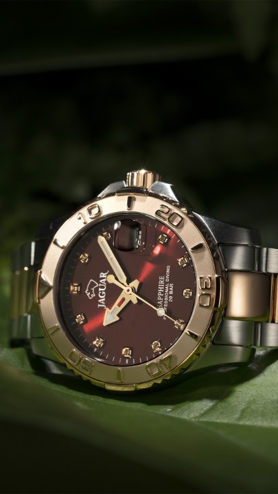 Obrázok z Jaguar Executive Diver