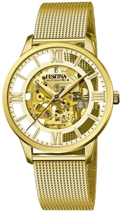 Obrázok z Festina Automatic Skeleton