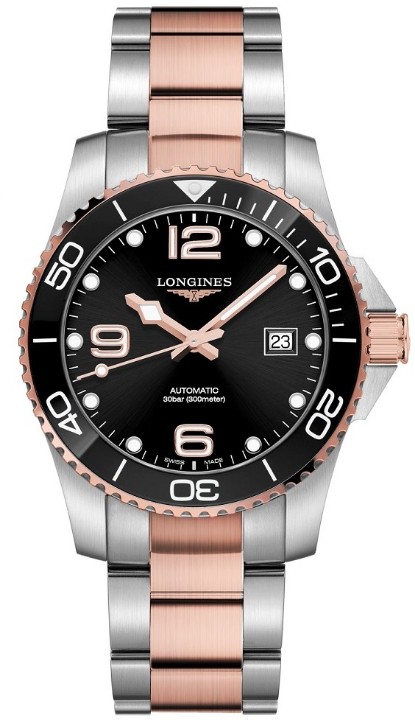 Obrázok z Longines HydroConquest