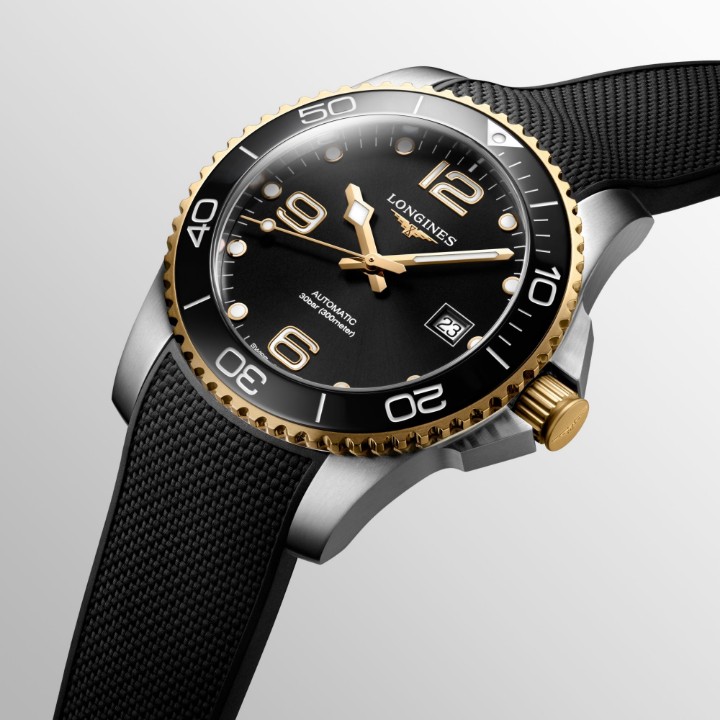 Obrázok z Longines HydroConquest