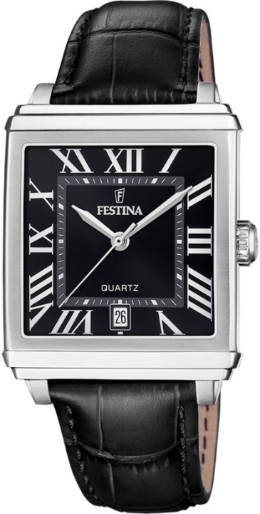 Obrázok z Festina Classics