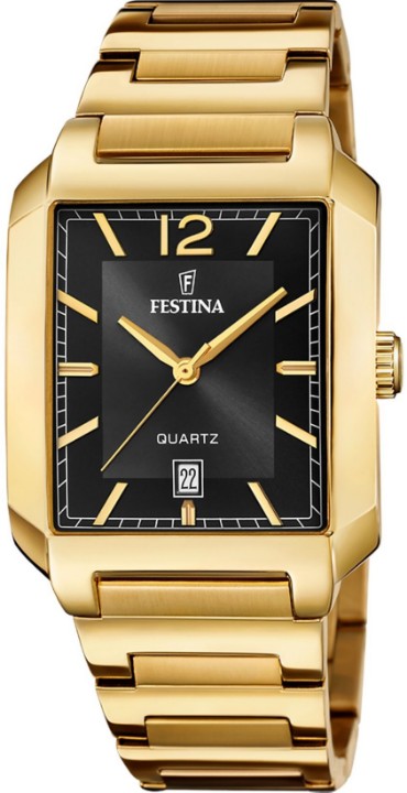 Obrázok z Festina Classics