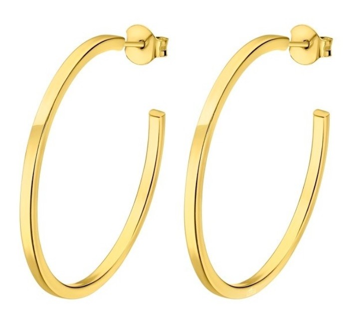 Obrázok z LOTUS SILVER náušnice HOOPS