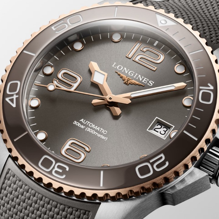 Obrázok z Longines HydroConquest