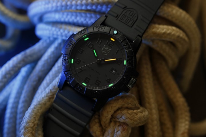 Obrázok z Luminox Leatherback Sea Turtle Giant 0320 Series