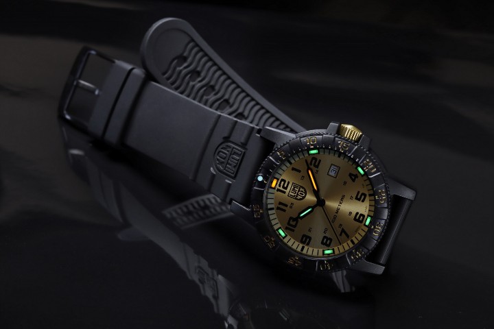 Obrázok z Luminox Leatherback Sea Turtle Giant 0320 Series